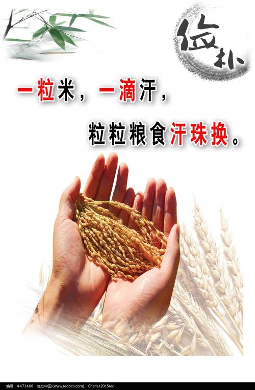 代办威尔士驾驶证